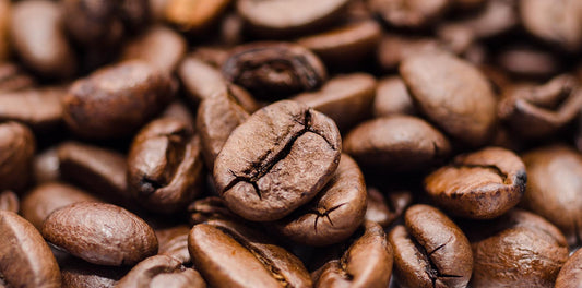 Die Robusta-Bohne - Black Dogs Coffee